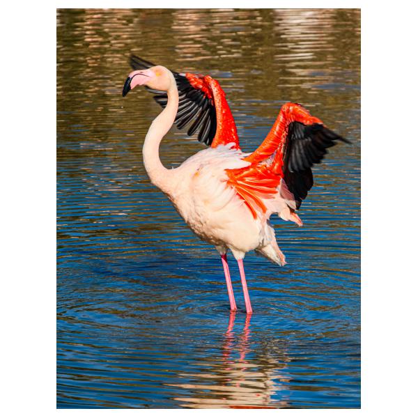 PHOTO84, CLUB, 84 , LUBERON